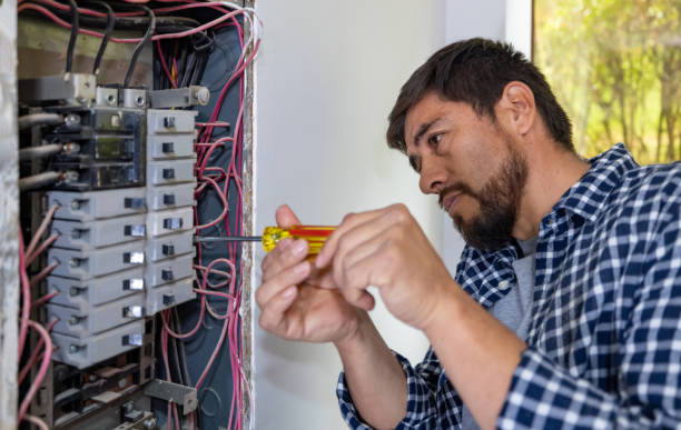 Best Electric Panel Repair  in Fairlawn, VA